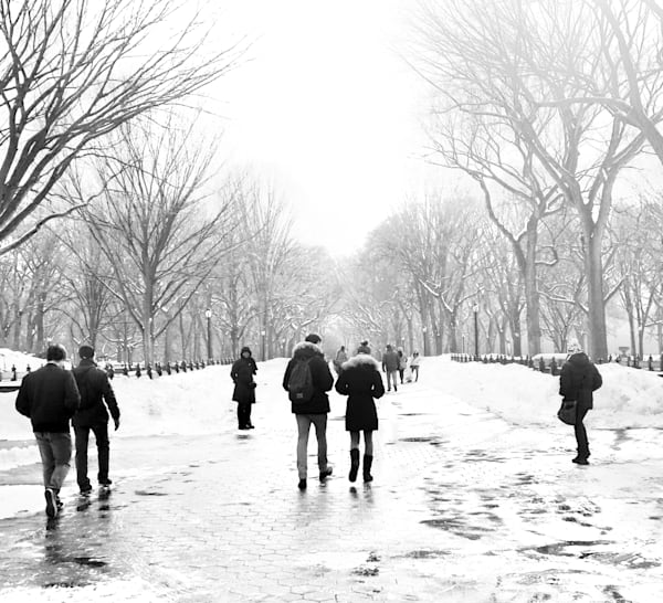 Vive L Hiver Art | Denise Dell'Olio Photography