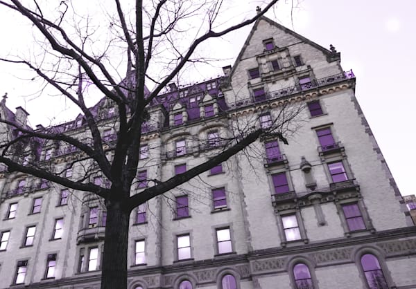 Purple Dakota Art | Denise Dell'Olio Photography