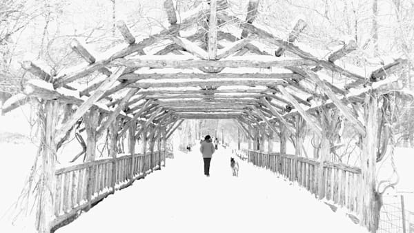 Safe Harbor Art | Denise Dell'Olio Photography