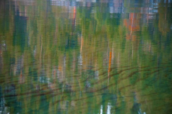 Abstracts