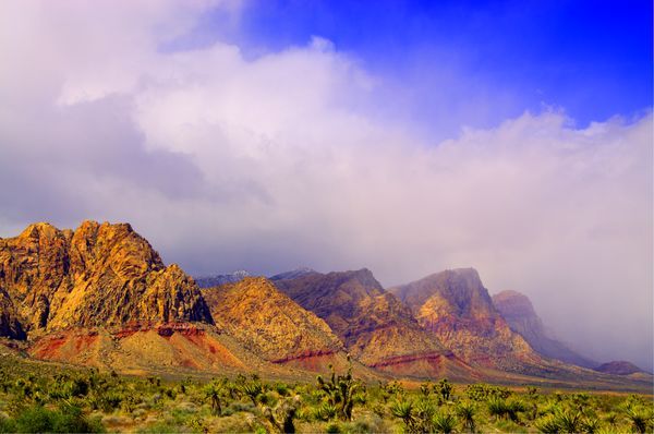 The American Southwest