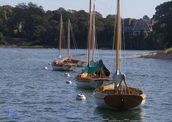 Meanwhile, on the Water
