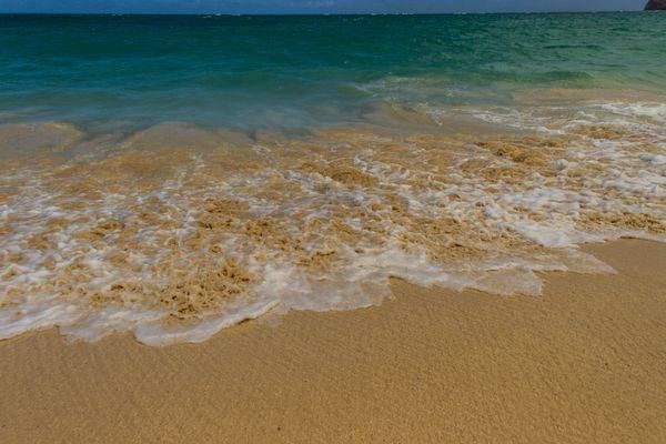 Inviting Waters Art | Aaron Betts