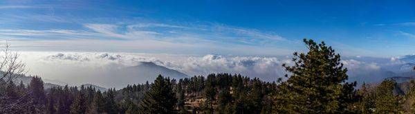 San Bernardino Mountains Art | Aaron Betts