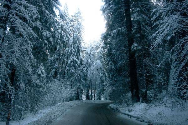 Yosemite Road Art | Aaron Betts