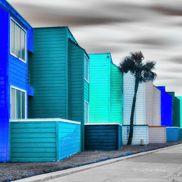 For Colors Sake   Wisdom Blue  Art | Donata I. Uckermark - Souri-Arts Photography LLC