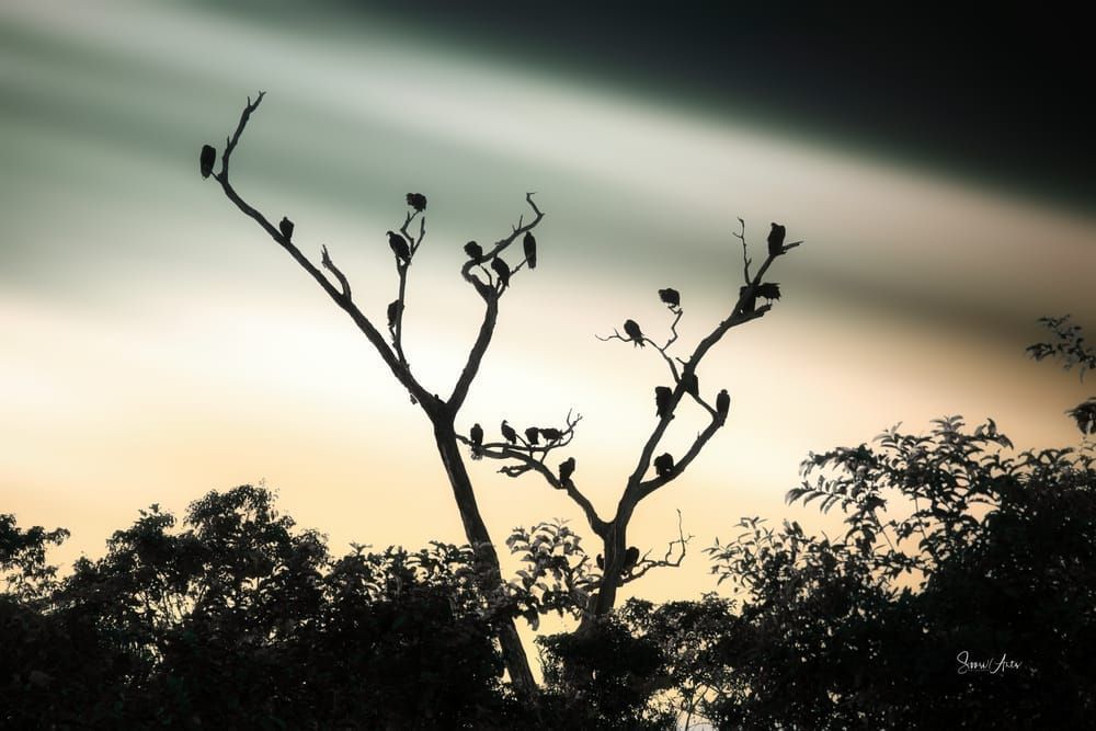 Never Alone Art | Donata I. Uckermark - Souri-Arts Photography LLC