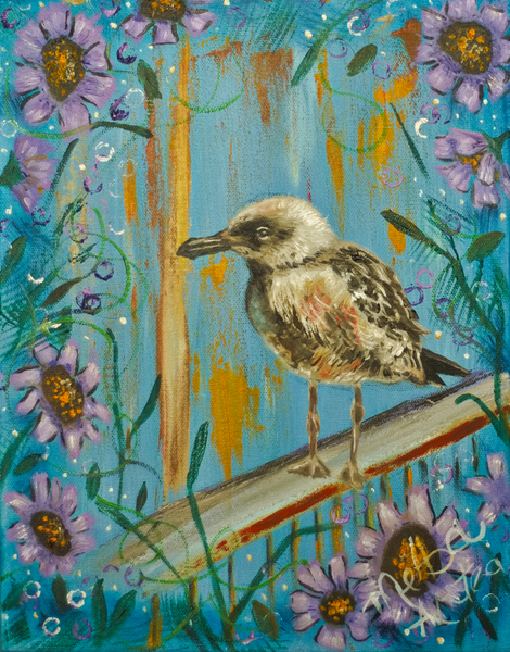 Baby Seagull At Land #1 Art | Melba Artea Fine Art