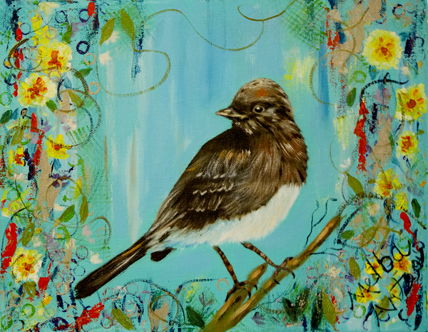 Black Phoebe Bird Art | Melba Artea Fine Art