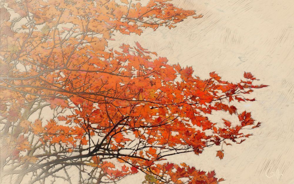 Ridge Top Fire — Orange Maple Branch Fine Art Print