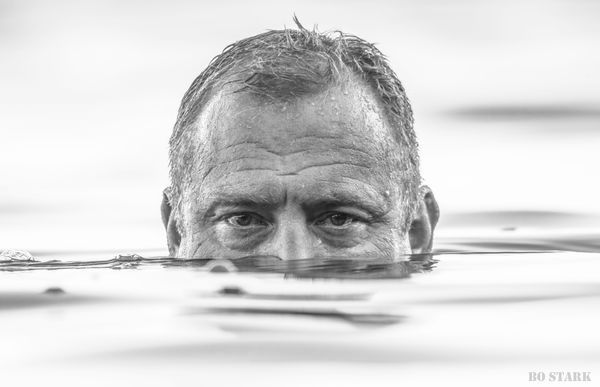 SEAL SWIM