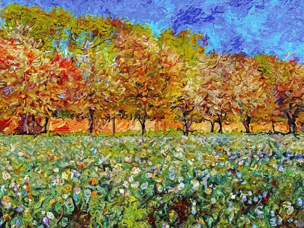 Field Of Flowers, Grove Of Trees Art | Art of Van Evan Fuller