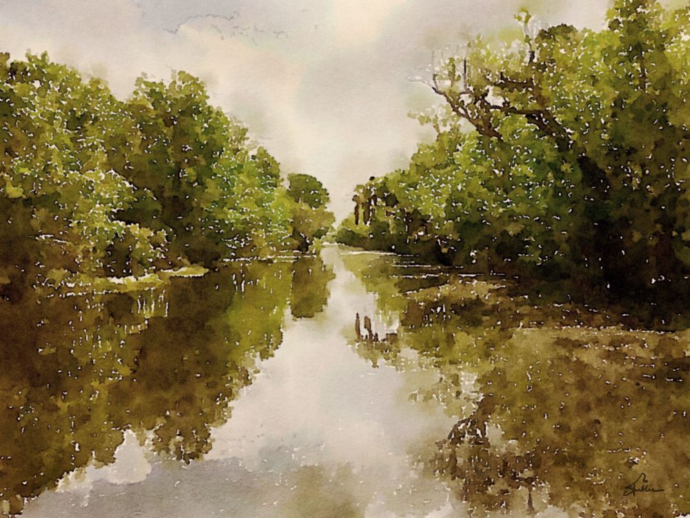 Alligator Bayou Art | Art of Van Evan Fuller
