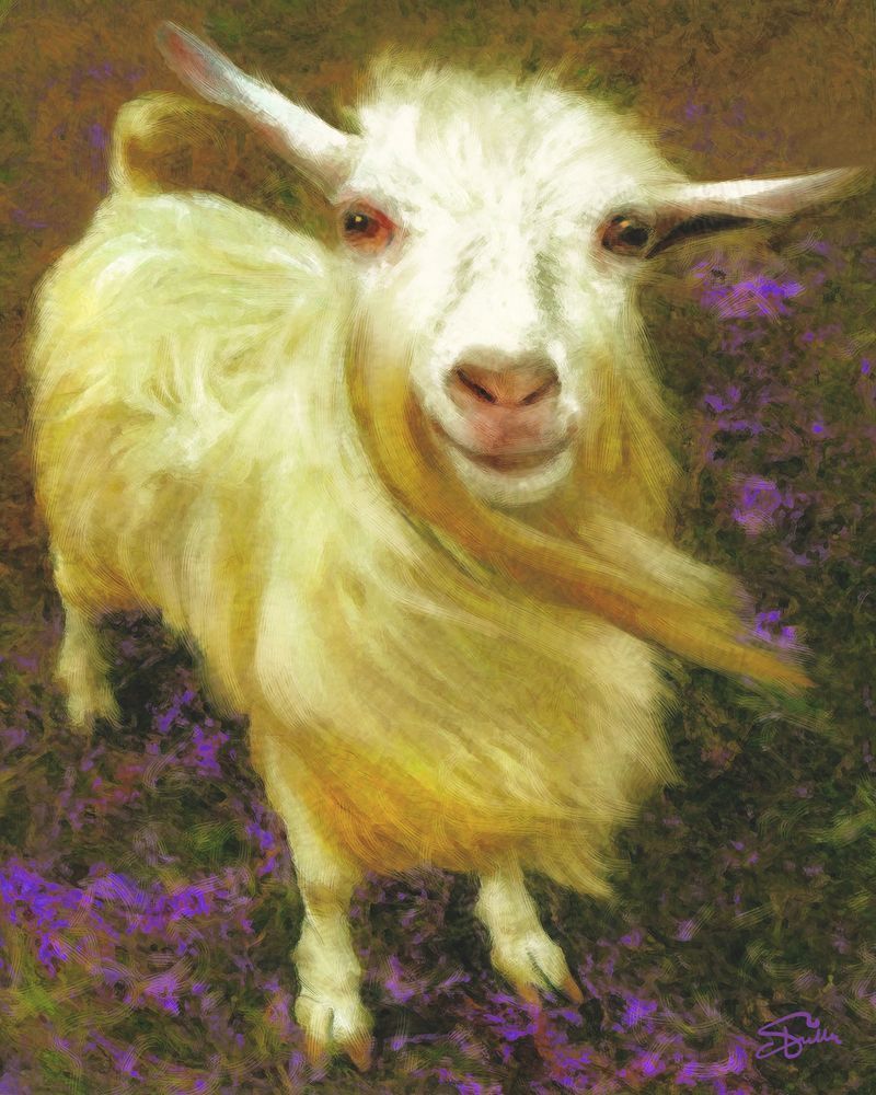 Little White Goat Art | Art of Van Evan Fuller