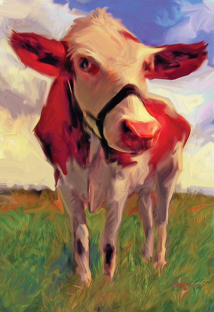 Cow Art | Art of Van Evan Fuller