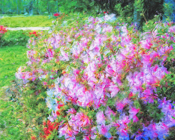 Azaleas Near the Artist's Studio