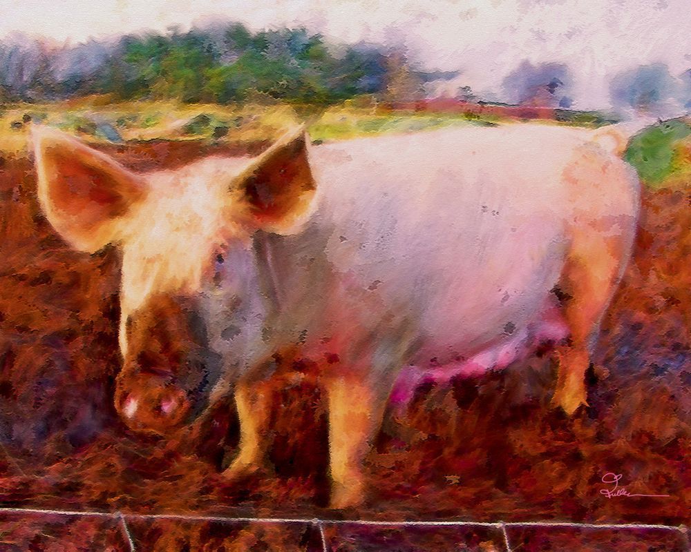 Das Schwein Art | Art of Van Evan Fuller