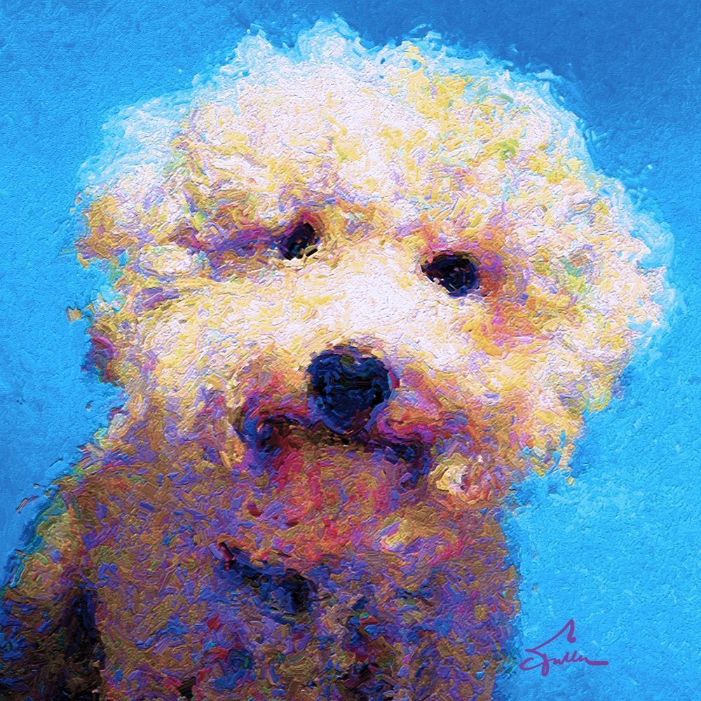 Kosmo Art | Art of Van Evan Fuller