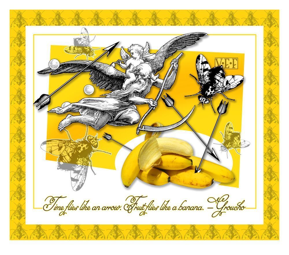 Like A Banana Art | Art of Van Evan Fuller