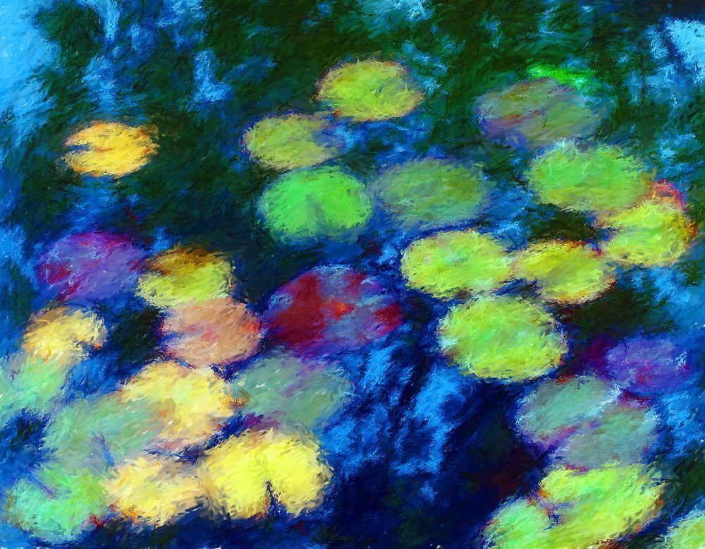Water Lilies Art | Art of Van Evan Fuller