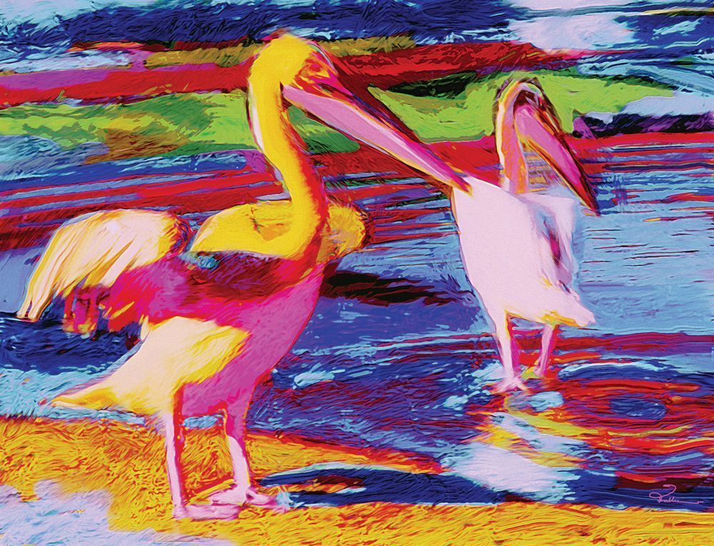 White Pelicans Art | Art of Van Evan Fuller