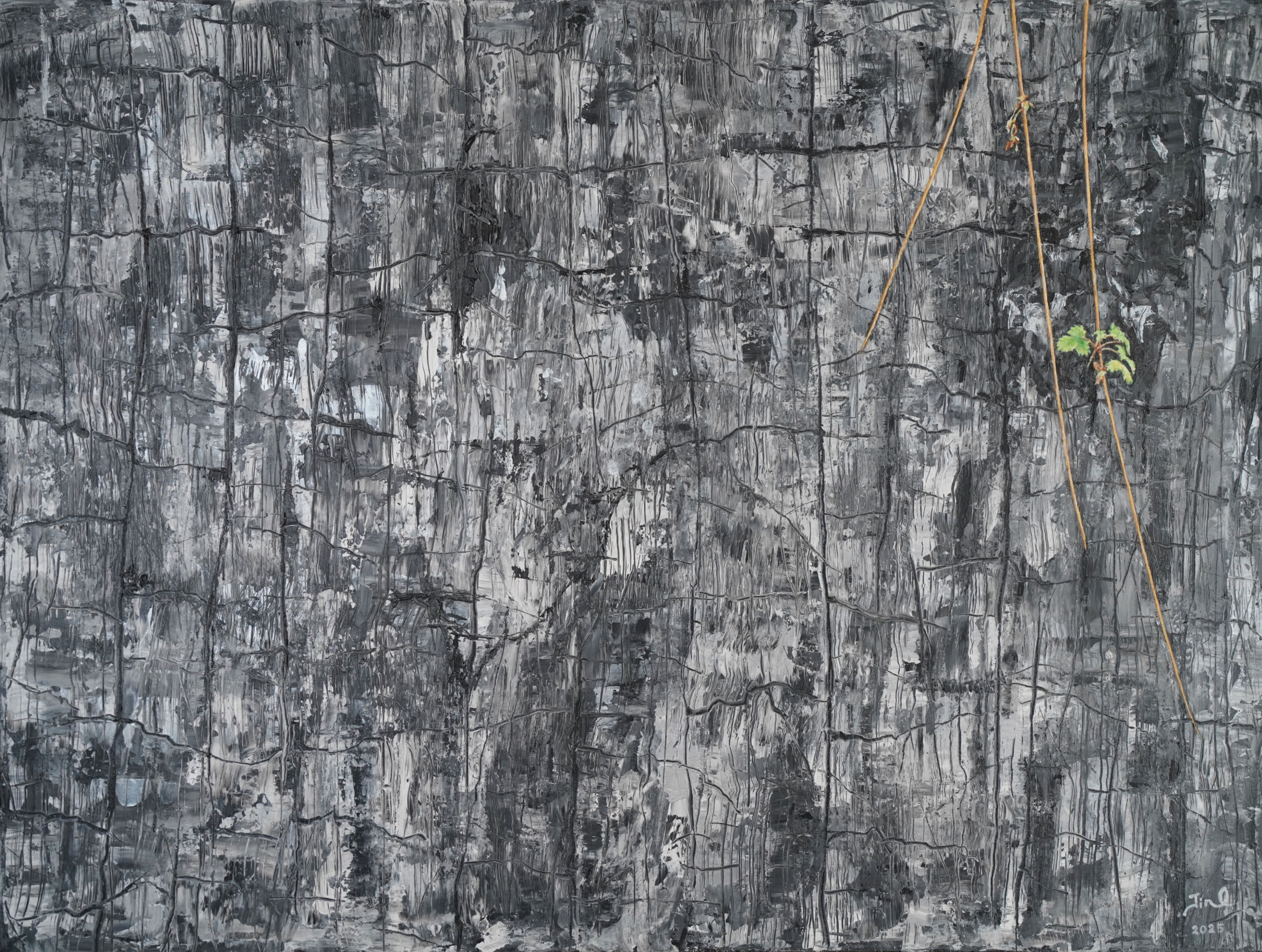 
        <div class='title'>
          burned wood 2
        </div>
       