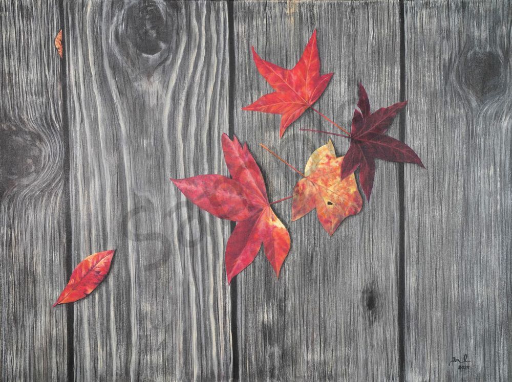 Fall Leaves .Jpg Art | Art Jin Oh