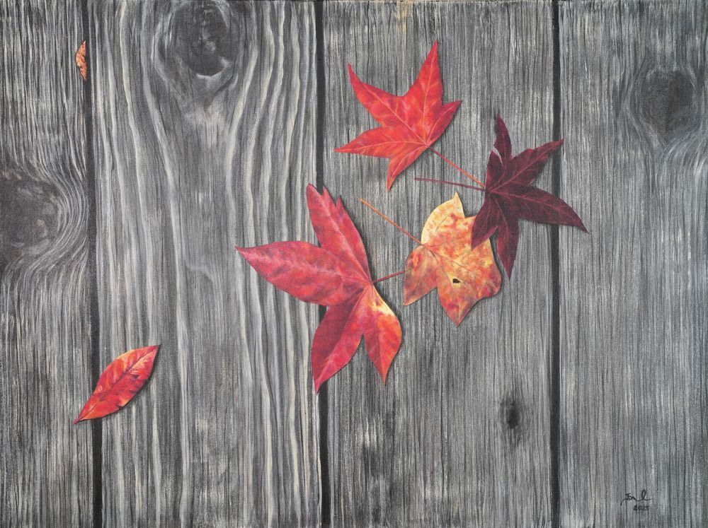 Fall Leaves .Jpg Art | Art Jin Oh