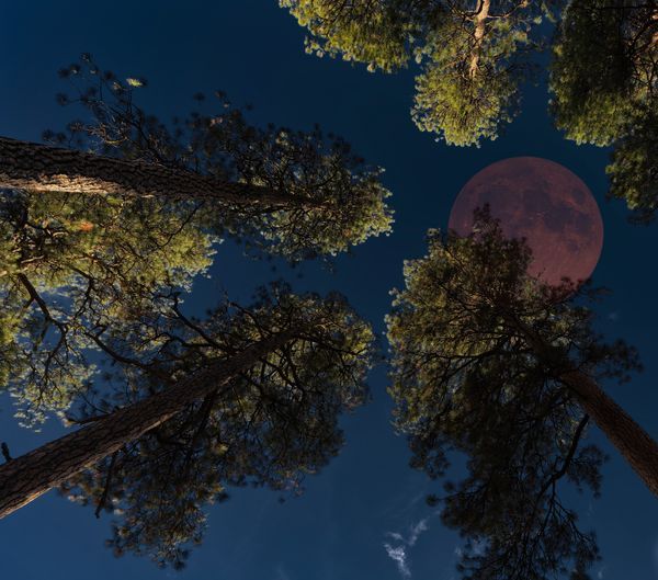 Night Photography