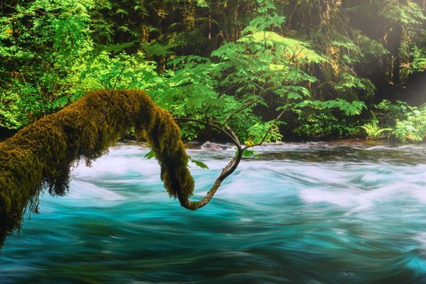 Nature