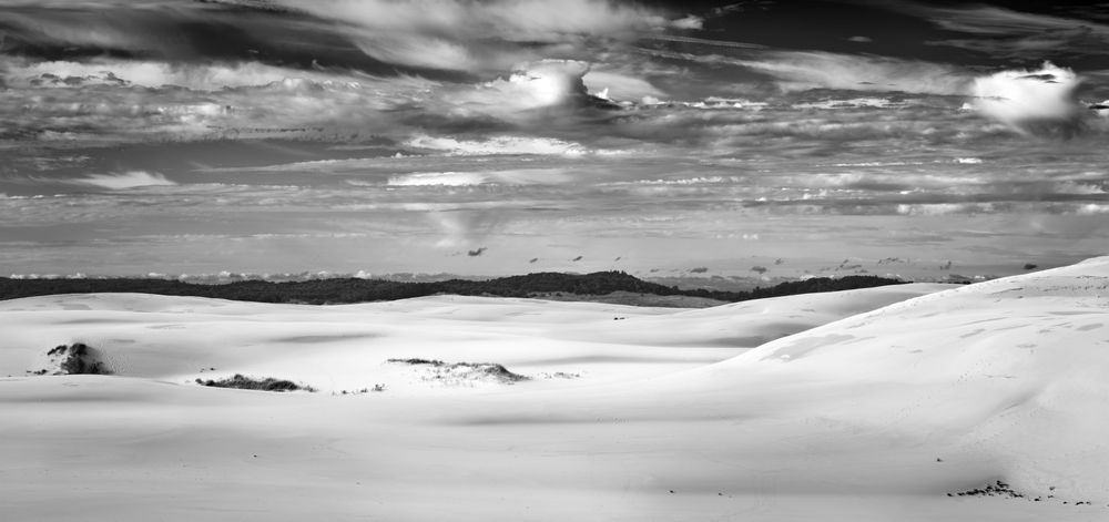 The Dunes | Michigan Monochrome Panorama Photography