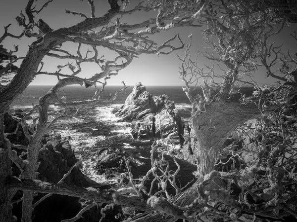 Framed Coastline