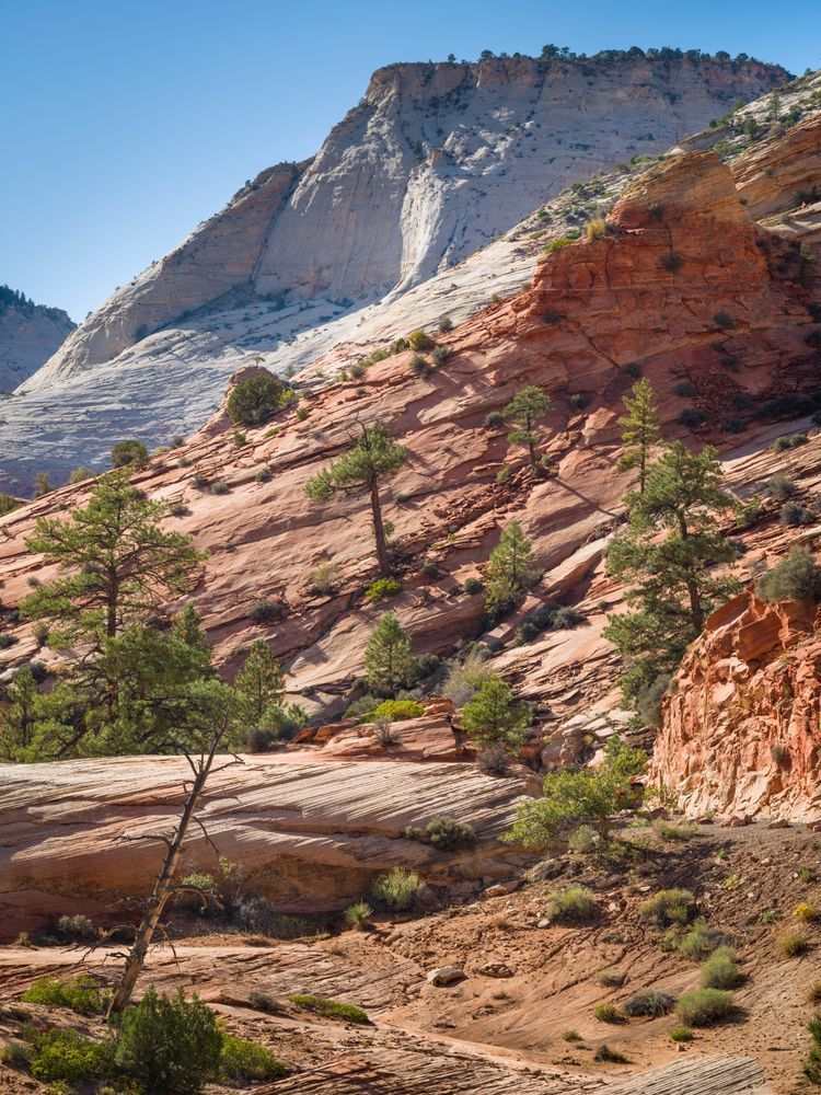 Colorful Zion - Vibrant Landscape Photography