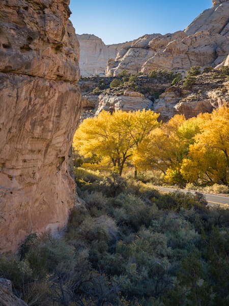 Capitol Reef Colors