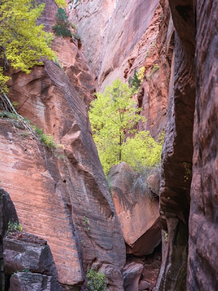 Canyon's End