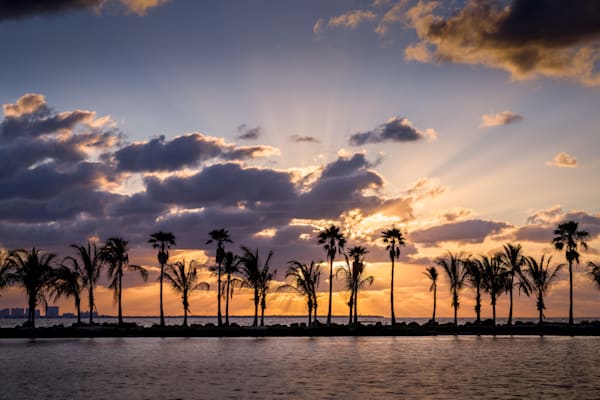 Matheson Hammock Sunrise