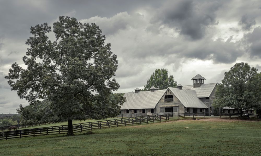 Serenbe Farm Photography Art | Luminessence Photography