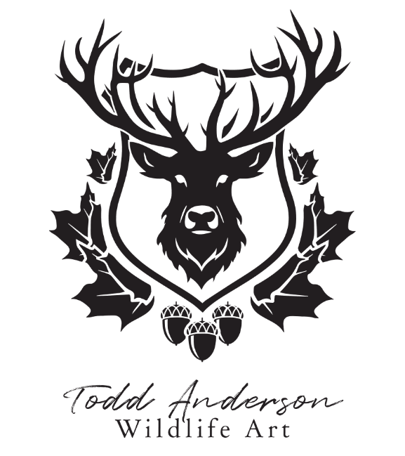 Todd Anderson 