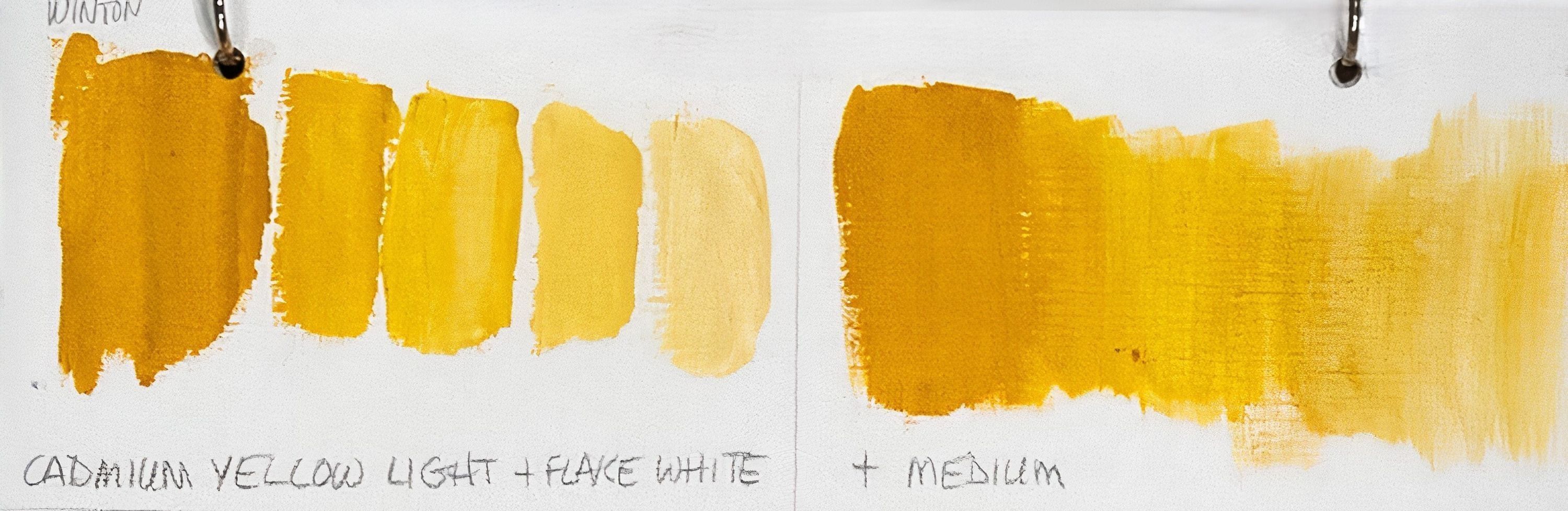 Color value charts Art | Karen Gahlon Shiman