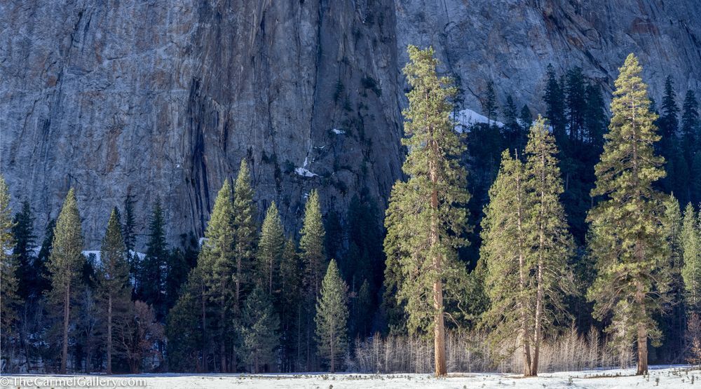 Winter Sun, Yosemite Photography Art | The Carmel Gallery