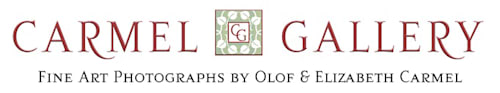 Carmel Gallery