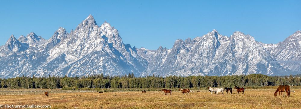 Teton Panorama Photography Art | The Carmel Gallery