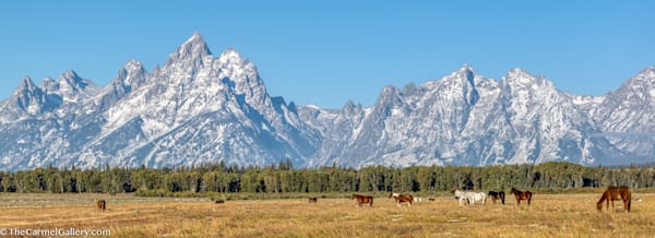 Teton Panorama Photography Art | The Carmel Gallery