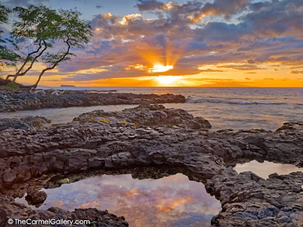 Tidepool Reflections
