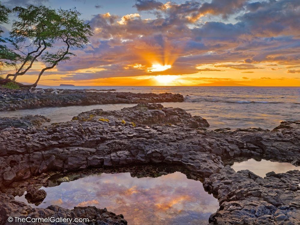 Tidepool Reflections
