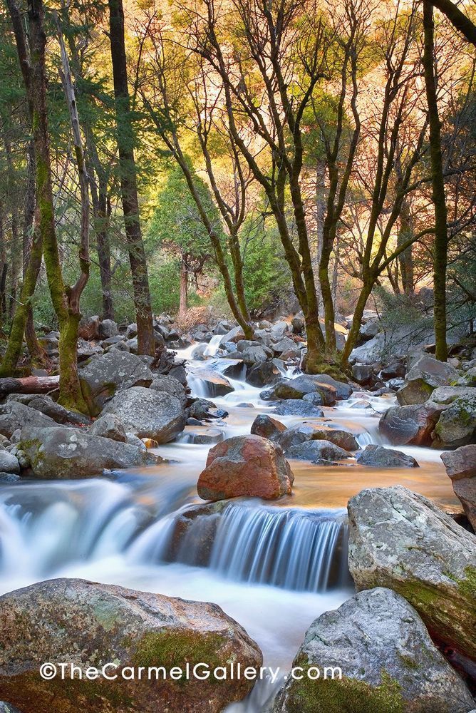 Bridalveil Creek Photography Art | The Carmel Gallery