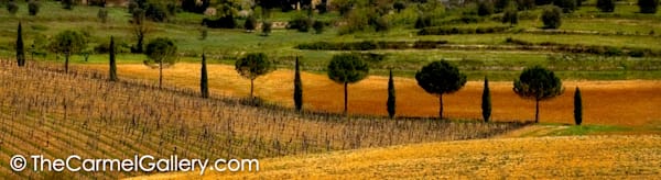 Bella Toscana