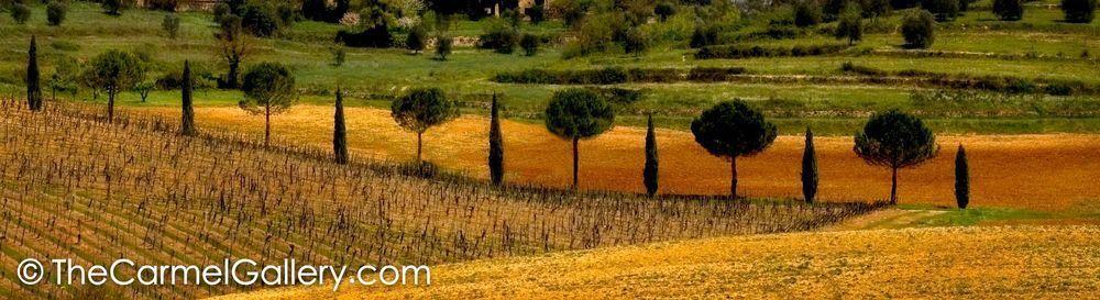 Bella Toscana