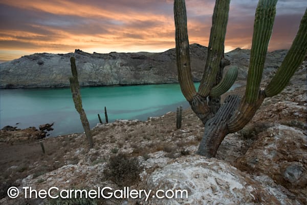 Baja Sunrise