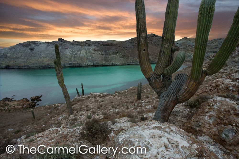 Baja Sunrise
